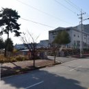 네이처런스(주) 이미지