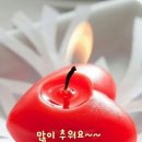 오돌또기 Daum카페