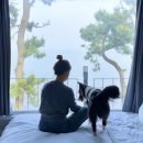 동해안로L 이미지