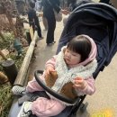 한이농장 | 용인 에버랜드 워킹사파리 후기 한달 한정체험 아기랑 로스트밸리 와일드로드