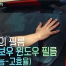 제주토탈모터스
