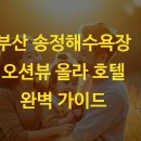 올라호텔 | 부산 송정해수욕장 오션뷰 올라 호텔 완벽 가이드