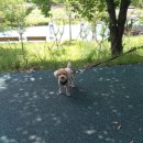 양산호수공원 이미지