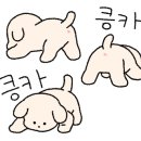 바이비드