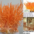 대능식품