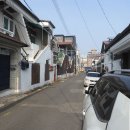 덕진-47 이미지