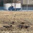 배영곡 | 2025년 12월 3주차 주간일기