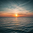 행정사 합동사무소 인송 이미지