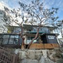 펜션 이상한 앨리스 이미지