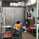 모악산참모싯잎송편 | 완주 구이 모악산 참모싯잎 송편 - 등산할 때 송편 하나만 있으면 든든