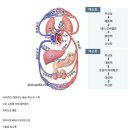 식사 후 졸린 이유.. 이미지