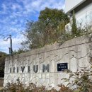 그림책 속 보타니컬 힐링아트 | [평택] 동탄 근교 힐링 공간 트리비움|요가, 아로마 테라피, 아트앤스페이스 예약필수