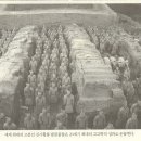 왕능우물 Daum카페