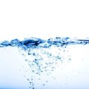 XRAY MOTORS 이미지