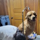 룰루랄라 이미지