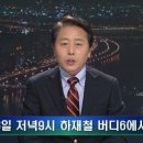 원더버디