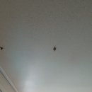 농민주유소 이미지