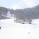 왈츠와 닥터만 커피박물관 이미지