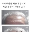 Re: 이마 주름은 복숭아 하나와 복숭아 잎사귀가 그려져 있다 이미지