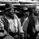 우상농장 이미지