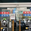 원조매콤이와순진이 이미지