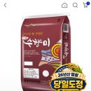 G마켓 수향미10kg 26년산 햅쌀 상등급 38,880원 이미지