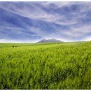 산업농장 이미지