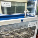 부영집 | [부산 서구] 자갈치역 이틀 연속으로 간 통꼼장어 맛집 _부영집 후기