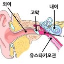 민트치과 이미지