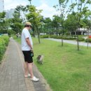 갈매수질복원센터 | 구리 갈매 강아지 산책장소 수질복원센터 간단하게 걷기 좋음