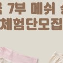 베베곰