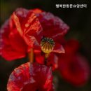 행복한방문요양센터 | 믿을 수 있는 처인구 요양원 추천 행복한방문요양센터 신뢰할 수 있는 돌봄 서비스