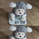 내가돼지라니