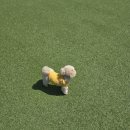 레인바우 이미지