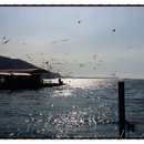 다산행정사사무소 이미지