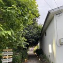 또,봄이네 이미지