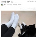 썰;네일