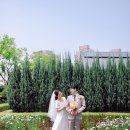 마고 스튜디오 이미지