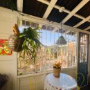 세렌의정원 이미지