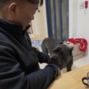 더 힐 스테이 | 청도 스테이온더힐 경북 애견 독채 펜션 대형견 내돈내산 솔직후기