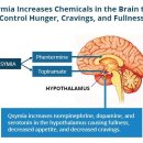삼부가정의학과의원 이미지
