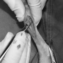 중앙동물병원 이미지