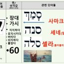 쎌라