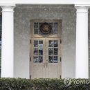SNOW WING 이미지