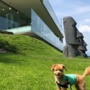 투독플레이스 이미지