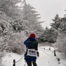 지리산 바래봉 첫눈⛄️ 이미지