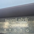 랩바이오 | 팀랩 바이오보텍스 교토 후기