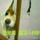 개성시대 이미지