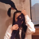 다라도 Daum카페