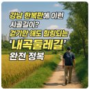 내곡천 | 강남 한복판에 이런 시골길이? 내곡둘레길 산책 가는법 위치(서울 피크닉)